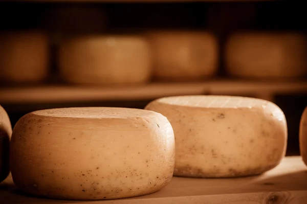 Affinamento del formaggio sugli scaffali — Foto Stock