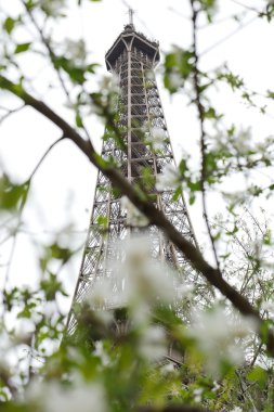 Eyfel Kulesi bahar Paris Fransa