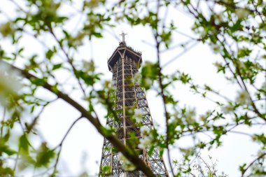 Eyfel Kulesi bahar Paris Fransa