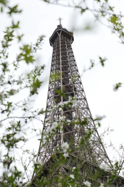Torre Eiffel Primavera de París Francia — Foto de Stock