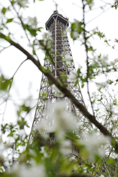 Torre Eiffel Primavera de París Francia — Foto de Stock