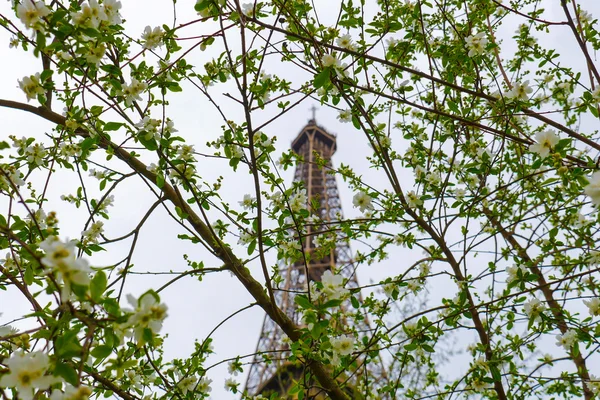 Eiffel wieża wiosna w Paryżu Francja — Zdjęcie stockowe