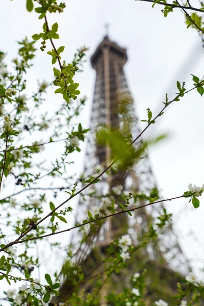 Eiffel wieża wiosna w Paryżu Francja — Zdjęcie stockowe