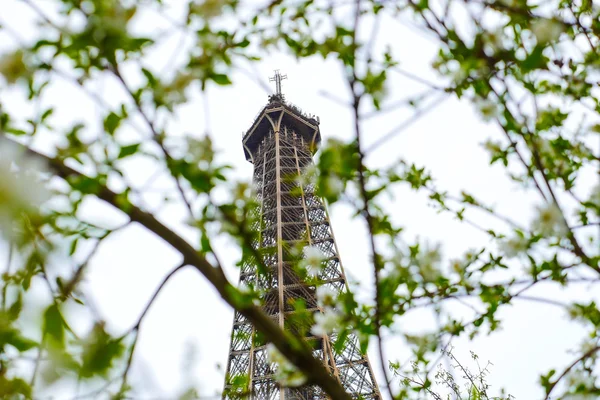 Eyfel Kulesi bahar Paris Fransa