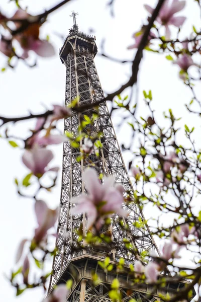 Eiffel wieża wiosna w Paryżu Francja — Zdjęcie stockowe