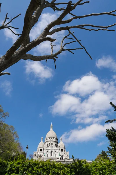 Kościół Najświętszego Serca Sacre Coeur w dzielnicy Montmartre — Zdjęcie stockowe