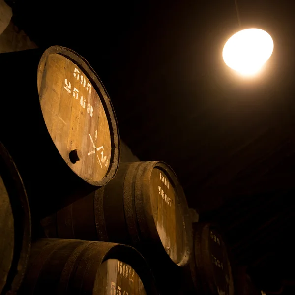 Barils dans la cave à vin, Porto, Portugal — Photo