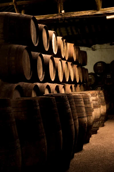 Barrels in the wine cellar, Porto, Portugal — Stock Photo, Image