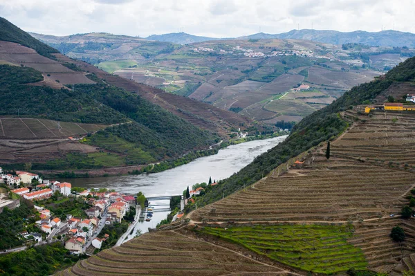 Виноградные холмы в долине реки Дору, Португалия — стоковое фото