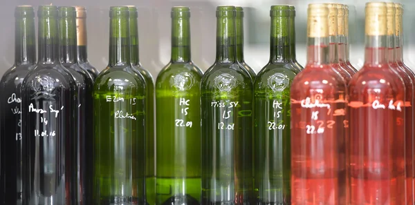 Ensaios de controlo da qualidade do vinho em laboratório — Fotografia de Stock