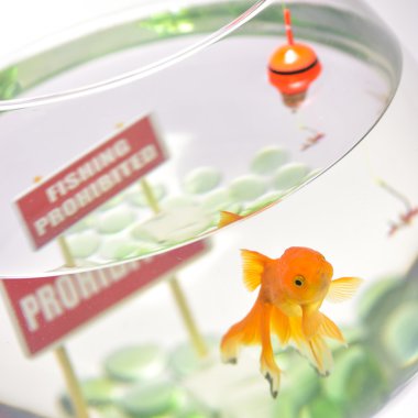 Fishbowl yasak işareti günah kap ve çengelli 