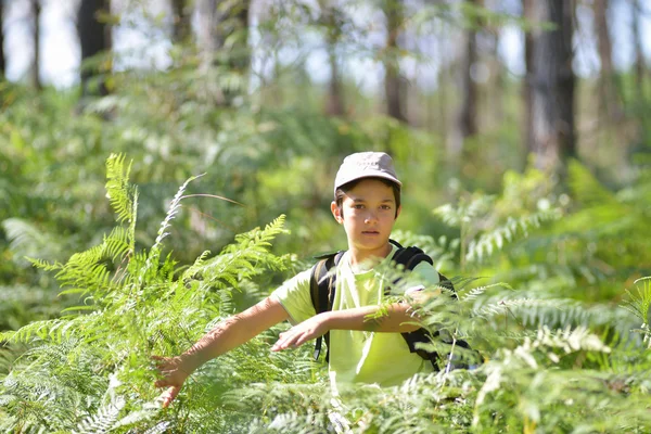 Liten pojke gå ensam. — Stockfoto