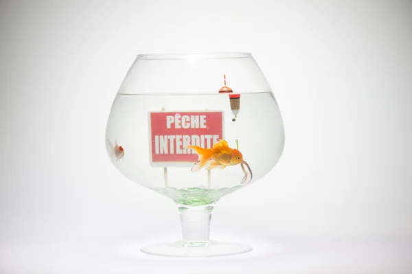 Fishbowl with prohibition sign sin cap and hook — Stock Photo, Image