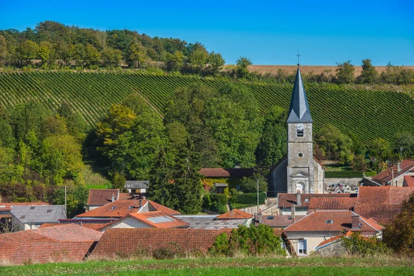 Champagner-Weinberge in der cote des bar aube — Stockfoto