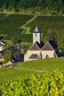 Şampanya üzüm bağları Cote des Bar Aube'deki/daki oteller