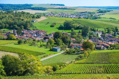 Şampanya üzüm bağları Cote des Bar Aube'deki/daki oteller