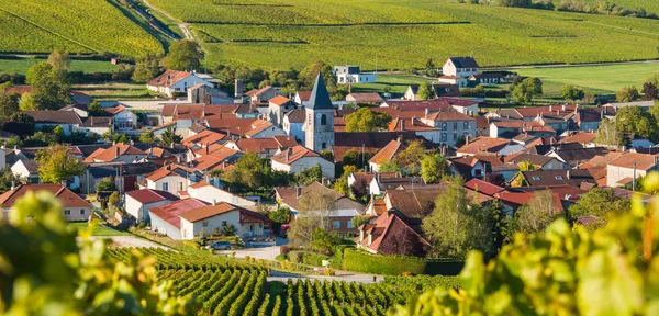 Šampaňské vinice v Cote des Bar Aube — Stock fotografie