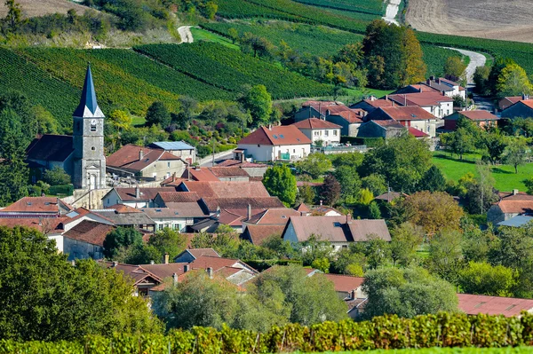 Şampanya üzüm bağları Cote des Bar Aube'deki/daki oteller