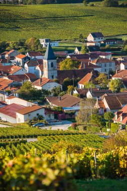 Şampanya üzüm bağları Cote des Bar Aube'deki/daki oteller