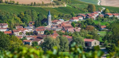 Şampanya üzüm bağları Cote des Bar Aube'deki/daki oteller