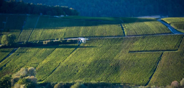 Versorgungsdrohne über Weinberg — Stockfoto