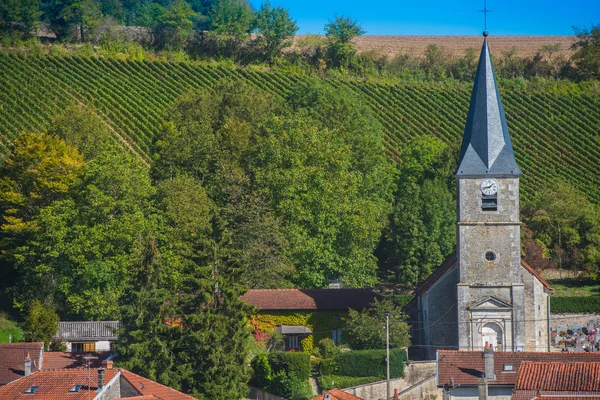 Wijngaarden van de Champagne in de Cote des Bar Aube — Stockfoto