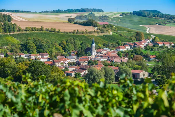 Šampaňské vinice v Cote des Bar Aube — Stock fotografie