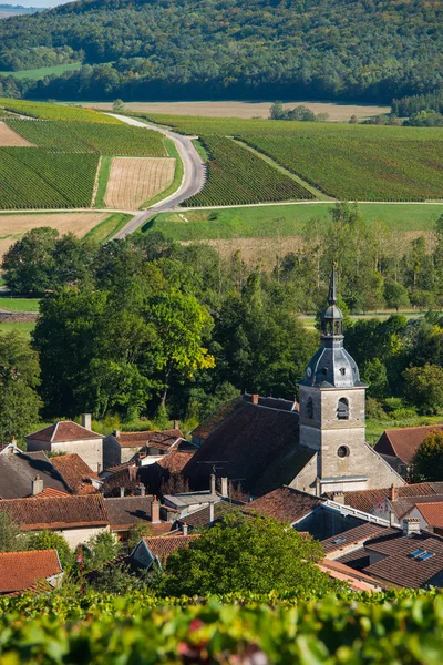 Wijngaarden van de Champagne in de Cote des Bar Aube — Stockfoto