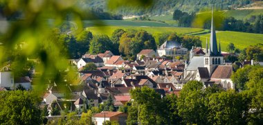 Bardaki Cote des, Aube Champagne üzüm bağları