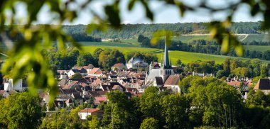 Bardaki Cote des, Aube Champagne üzüm bağları