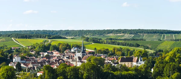 Šampaňské vinice v Cote des Bar, Aube — Stock fotografie