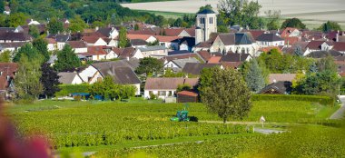 Bardaki Cote des, Aube Champagne üzüm bağları