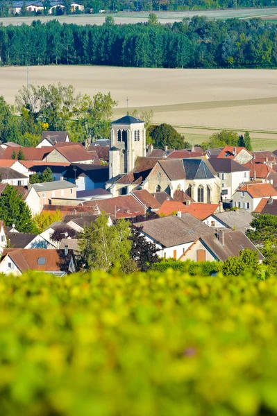 A Cote des bárban, Aube Champagne-szőlőhegy — Stock Fotó