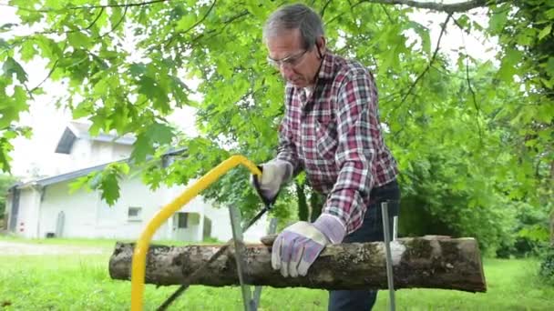 Hombre mayor aserrando una sierra de mano de madera de cerca — Vídeos de Stock