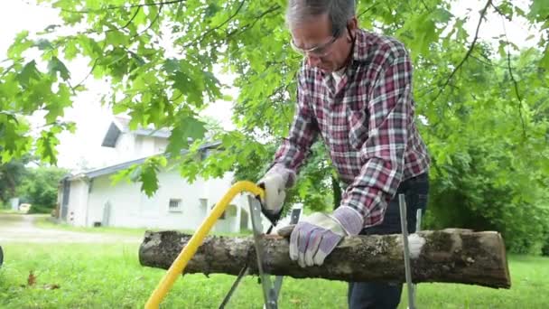 Homem sênior serrar uma serra manual de log closeup — Vídeo de Stock