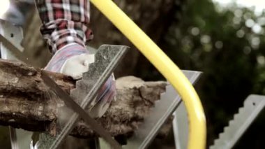 Komuta sizde bir günlük el testeresi closeup testere ile kesme