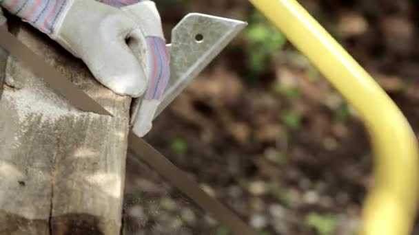 Homem sênior serrar uma serra manual de log closeup — Vídeo de Stock