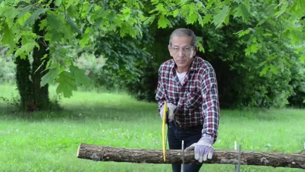 Senior man sawing a log handsaw closeup — Stock Video