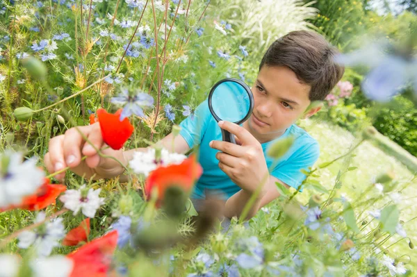 Garçon regardant la fleur à travers la loupe — Photo