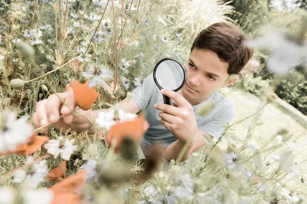 Chlapec při pohledu na květ přes zvětšovací sklo — Stock fotografie