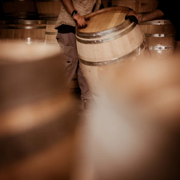 Winemaker varil yere haddeleme tarafından yukarı veya aşağı taşıma — Stok fotoğraf