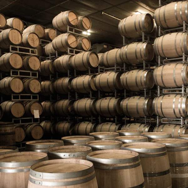 Kiler, Bordeaux üzüm şarap fıçıları yığılmış