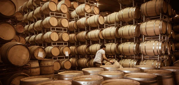 Barils de vin empilés en cave, Vignoble Bordeaux — Photo