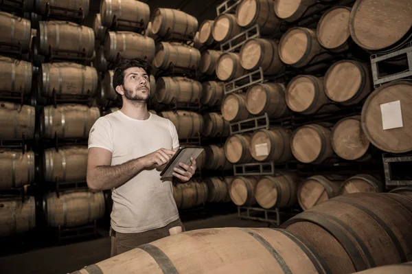 Winemaker counting the barrels with a tablet in large storage — Stock Photo, Image