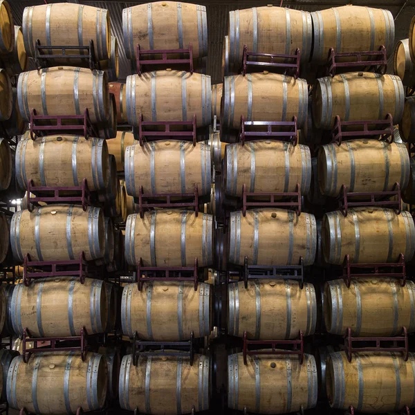 Винних бочок укладаються в підвал, Бордо виноградник — стокове фото