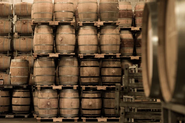 Wine barrels stacked in cellar, Bordeaux Vineyard — Stock Photo, Image