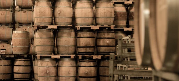 Винних бочок укладаються в підвал, Бордо виноградник — стокове фото