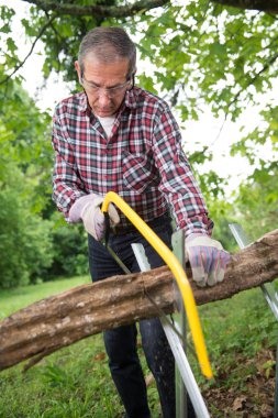 Komuta sizde bir günlük el testeresi closeup testere ile kesme