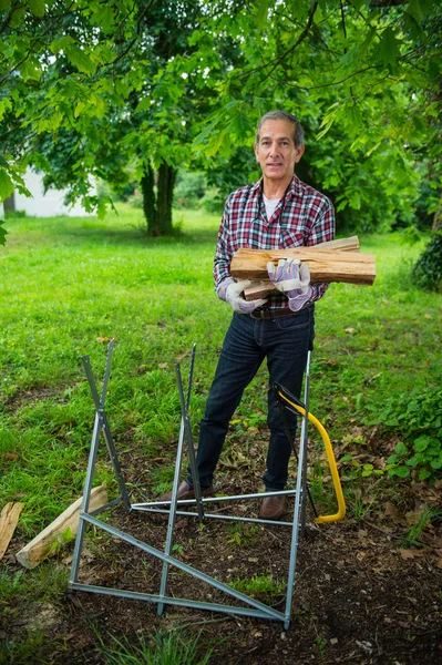 Senior Man carrying in his arms the firewood he just saw. — Stock Photo, Image