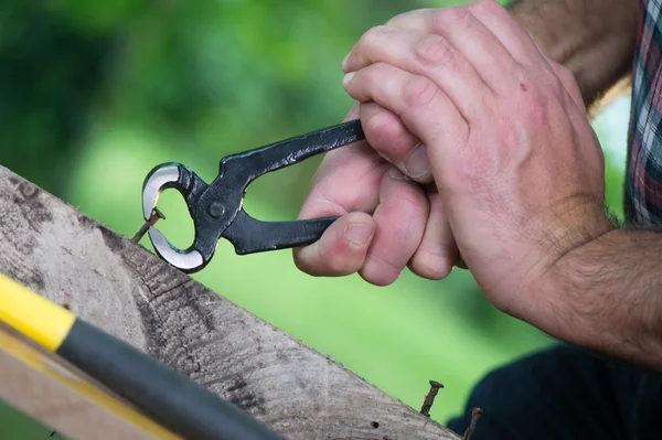Dra en snickare spets på trä med tång — Stockfoto